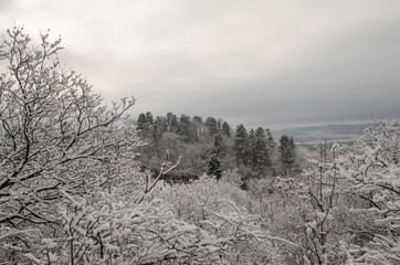 landscape, white, nature, season, tree, outdoors, day, life, house, clean, winter, park, city, urban, cold, scene, snow, branch, street, morning, weather, ice, town, still, hill, january, frozen, walk