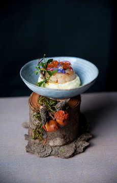 st jacques shell scallop
