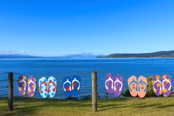 Fotobehang Summer lake Taupo view © NMint