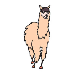 Vector, isolated outline cartoon baby llama.