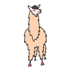 Hand drawn Peru animal, alpaca, vicuna. 