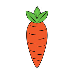carrot vegetable icon image vector illustration design 