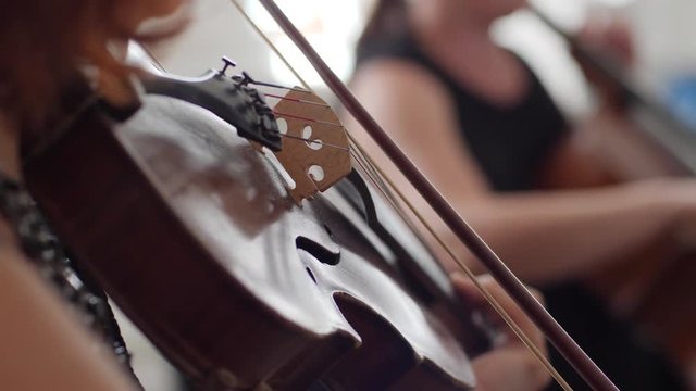 violinist play in the orchestra on blurred background, close-up fiddle and fiddlestick