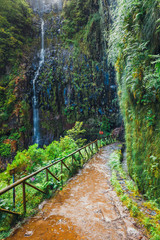 Obraz premium mountain path to Levada das 25 fontes and Levada do Risco , Madeira Island, Portugal
