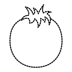 tomato whole  fruit icon image vector illustration design  black dotted line