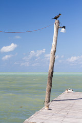Holbox island in Mexico
