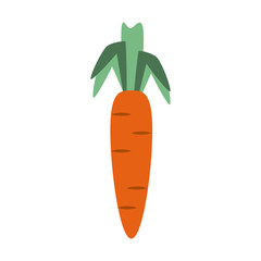 Carrot fresh vegetable icon vector illustration graphic design