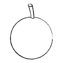 whole orange fruit icon image vector illustration design  black sketch line