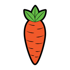 vegetable food carrot raw healthy vector illustration