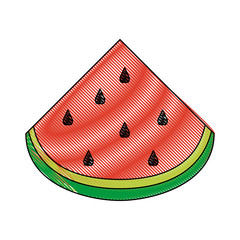 Watermelon sliced fruit icon vector illustration graphic design