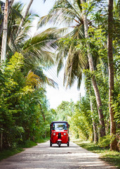Red tuk-tuk under the palm trees on the country road - obrazy, fototapety, plakaty