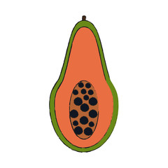 Papaya half cut icon vector illustration graphic design
