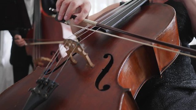 cellist plays in slow motion, close-up strings of a cello with bow