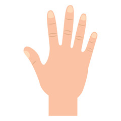 open hand gesture icon image vector illustration design 