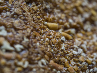 Fresh Crusty Sourdough Bread