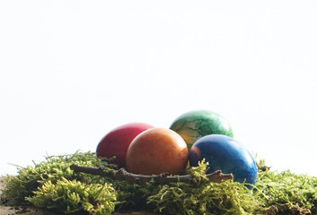 Easter green moos and colorful easter eggs