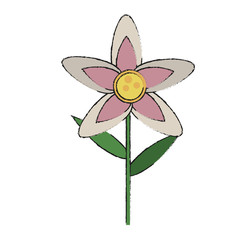 Beautiful flower isolated icon vector illustration graphic design