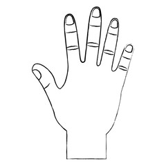 opened hand palm counting fingers number five vector illustration