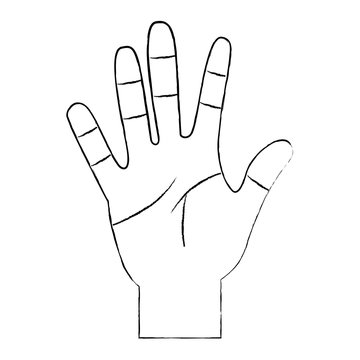 opened hand palm counting fingers number five vector illustration