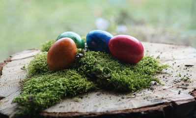 Fototapeta na wymiar real colorful Easter eggs at green real moos in front of window glass with garden view