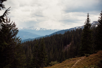 Obraz premium landscape in mountains Carpathians Ukraine