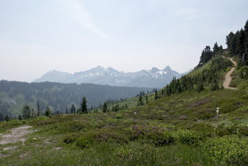 Fototapeta na wymiar Mountain Range Trail