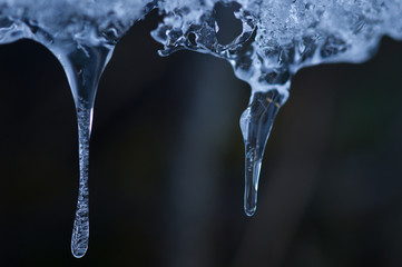 Eiszapfen Makrofoto