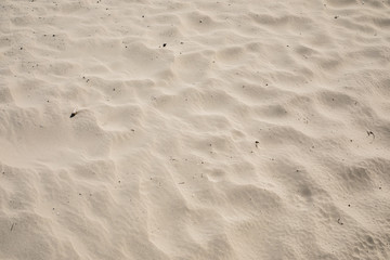 Fototapeta na wymiar texture of natural brown sand beach