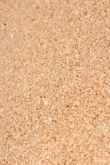 Corkwood texture pattern background. Cork wood. Wooden texture closeup.