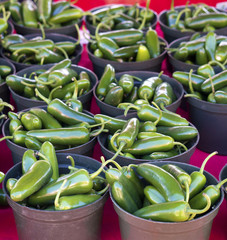 Jalapeno peppers for sale at a local farmers market in St. Pete Beach, Florida