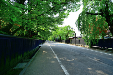 黒塀続く町並み