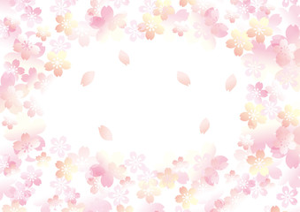 優しい桜 三 白