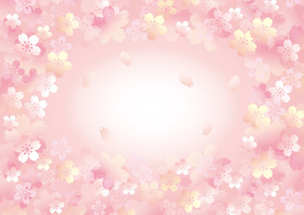 優しい桜 桜