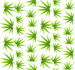Obraz na płótnie Canvas Marijuana leaves seamless vector pattern.