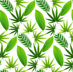 Tropical leaves seamless pattern. Floral jungle background.