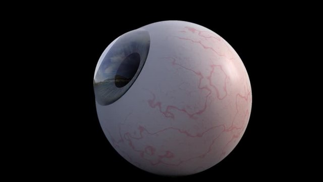 3D animation - Human eye looking around