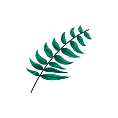 Watercolor Branch Leaf Vector