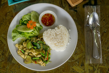 Dry Green Curry Chicken Stir fried by no soup with Jasmine Rice on white Dish for a Meal, Thai food selection
