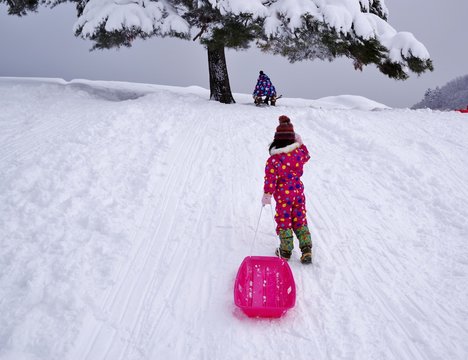 スキー場でそり遊びをする子供たち