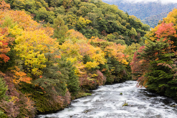 Ryuzu fall at Nikko national park in autumn