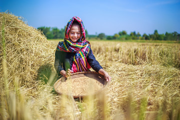farmer woman threshed rice in field