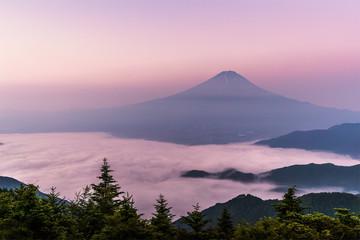 Fototapeta premium Mt.Fuji with sea of mist above Kawaguchiko lake in summer