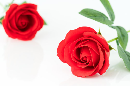 Single Red plastic fake roses on white