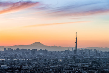 Naklejka premium Tokyo city view with mt.Fuji in evening