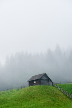 Wooden hut on a green meadow against the background of the forest in the fog