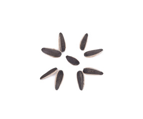 sun flower seeds isolated on white background