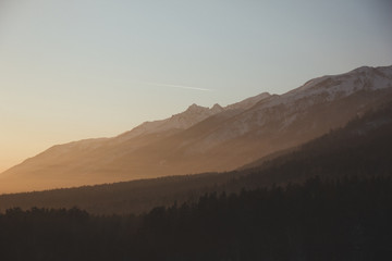 mountains and forest at dawn