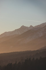 Naklejka premium mountains and forest at dawn
