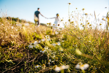 Man and woman holding hands in a field of chamomiles