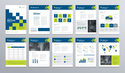 Fototapeta na wymiar business company profile ,annual report , brochure , flyer, presentations,magazine,and book layout template, with page cover design and info chart element. vector a4 size for editable.